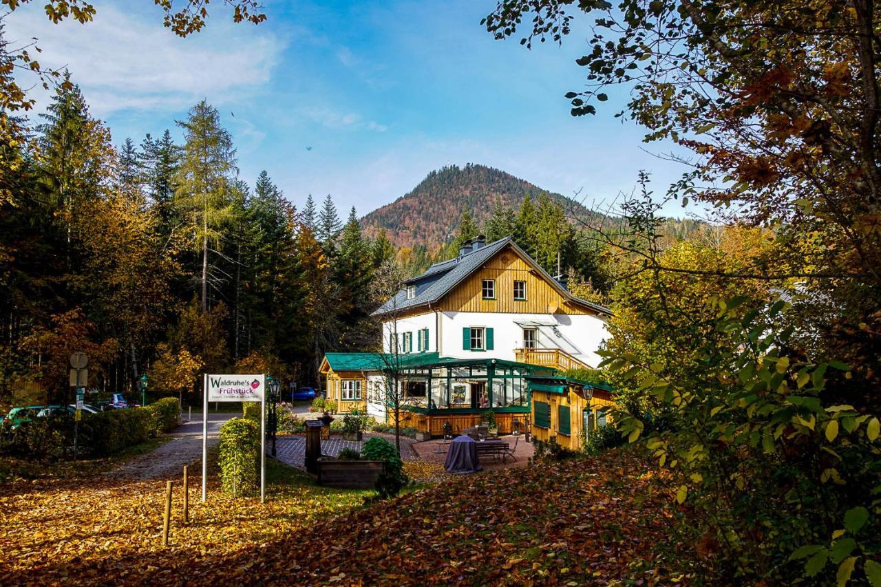 Waldruhe - Bett, Fruehstueck & Ein Laecheln Bed & Breakfast Bad Aussee Exterior foto